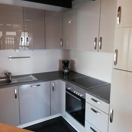 Ferienwohnung Gruner Baum Appartement Naila